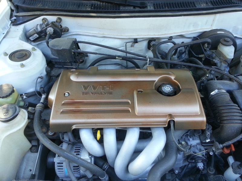 1ZZFE cover painted bronze